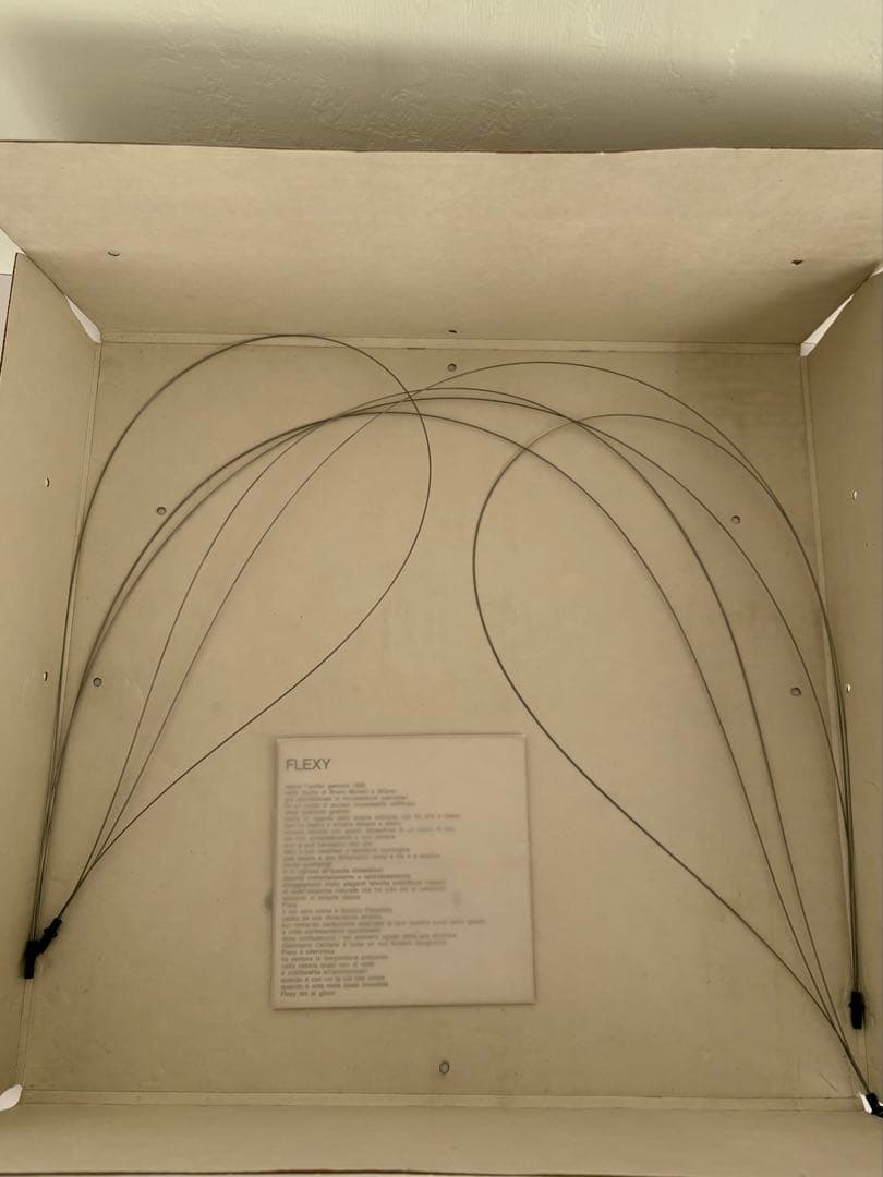 希少 Bruno Munari FLEXY / danese