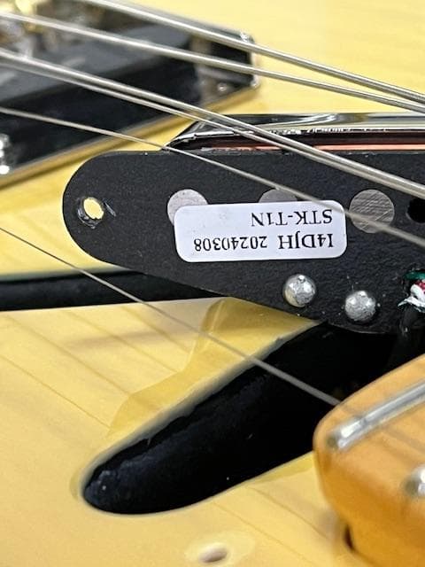 FUJIGEN NTE10M AH /OWB テレキャスター 超美品