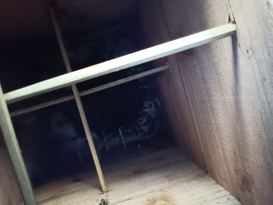 南国土佐の百花蜜　ニホンミツバチはちみつ　無添加　無加工　1170g✕2本