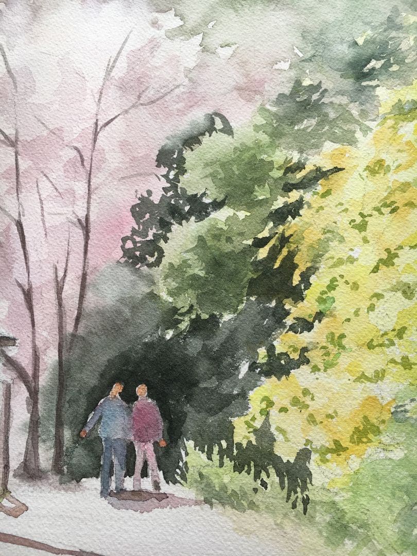 透明水彩画原画桜と山吹の散歩道