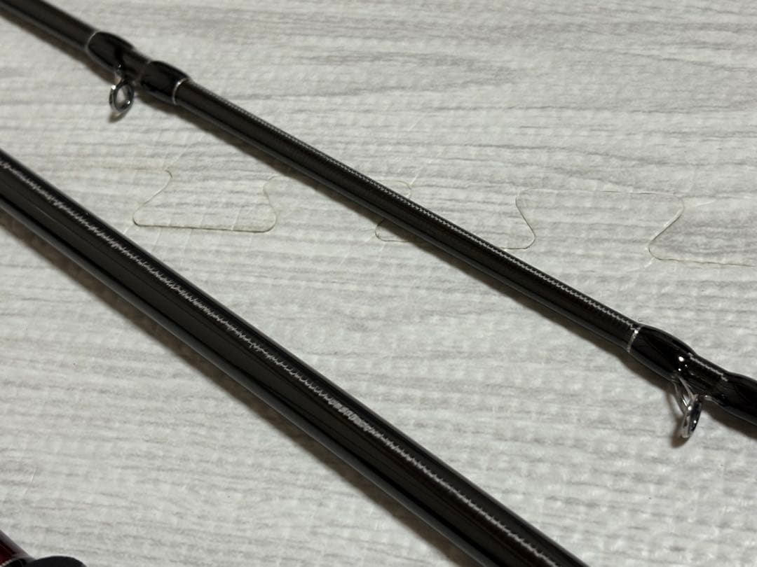 フィッシュマン　ブリストマリノ9.9H