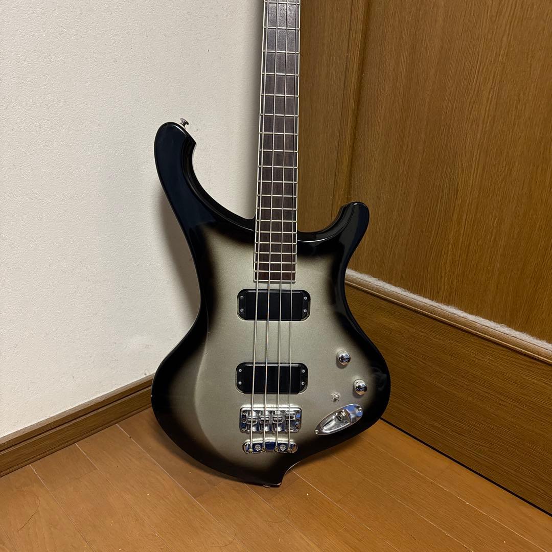 Burny ka-yuモデル　シルバーサンバースト