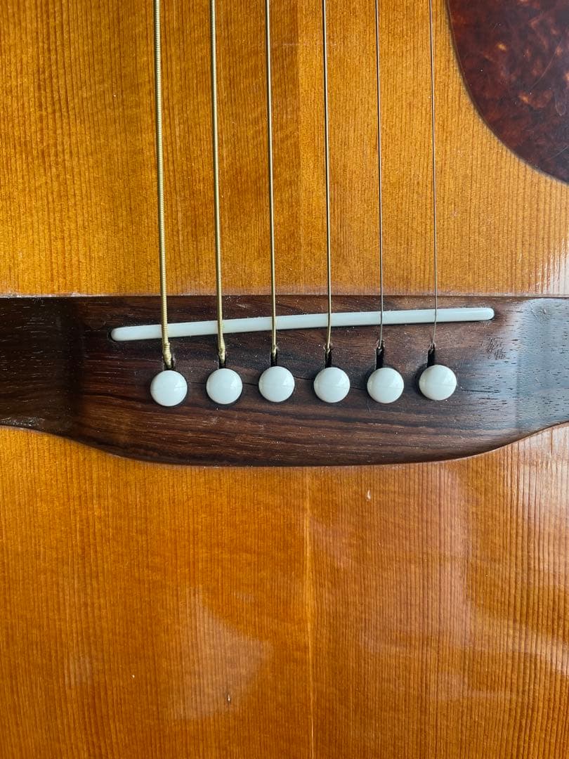 アコースティックギター スズキバイオリン製　SHREE S ギグバッグセット