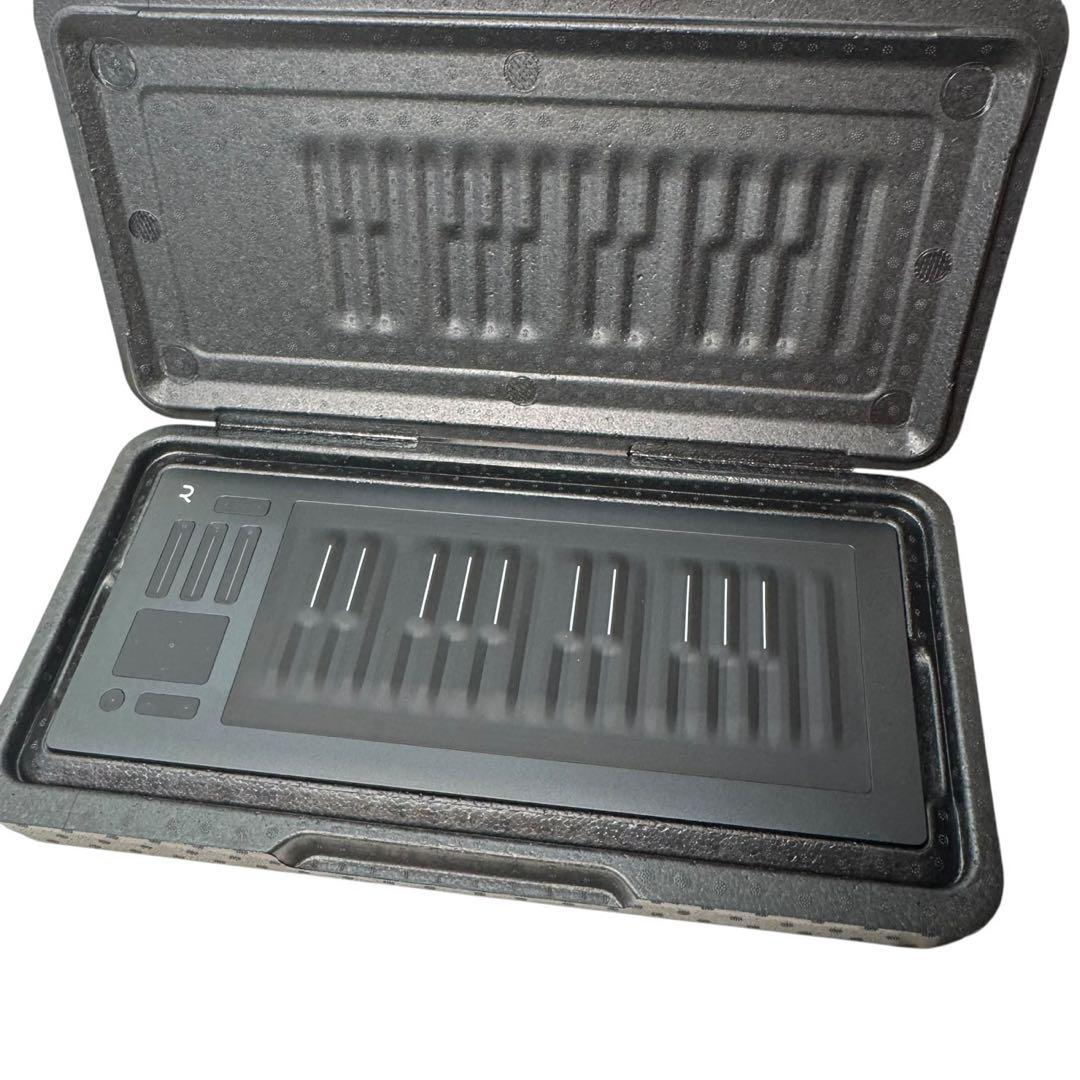 【極美品】ROLI Seaboard RISE 25&専用FilpCaseセット