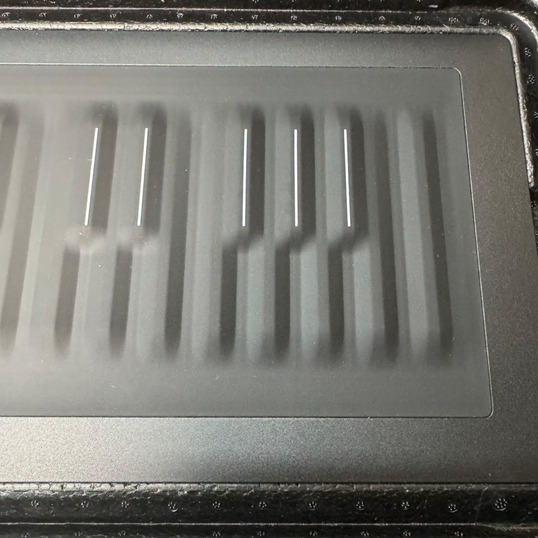 【極美品】ROLI Seaboard RISE 25&専用FilpCaseセット