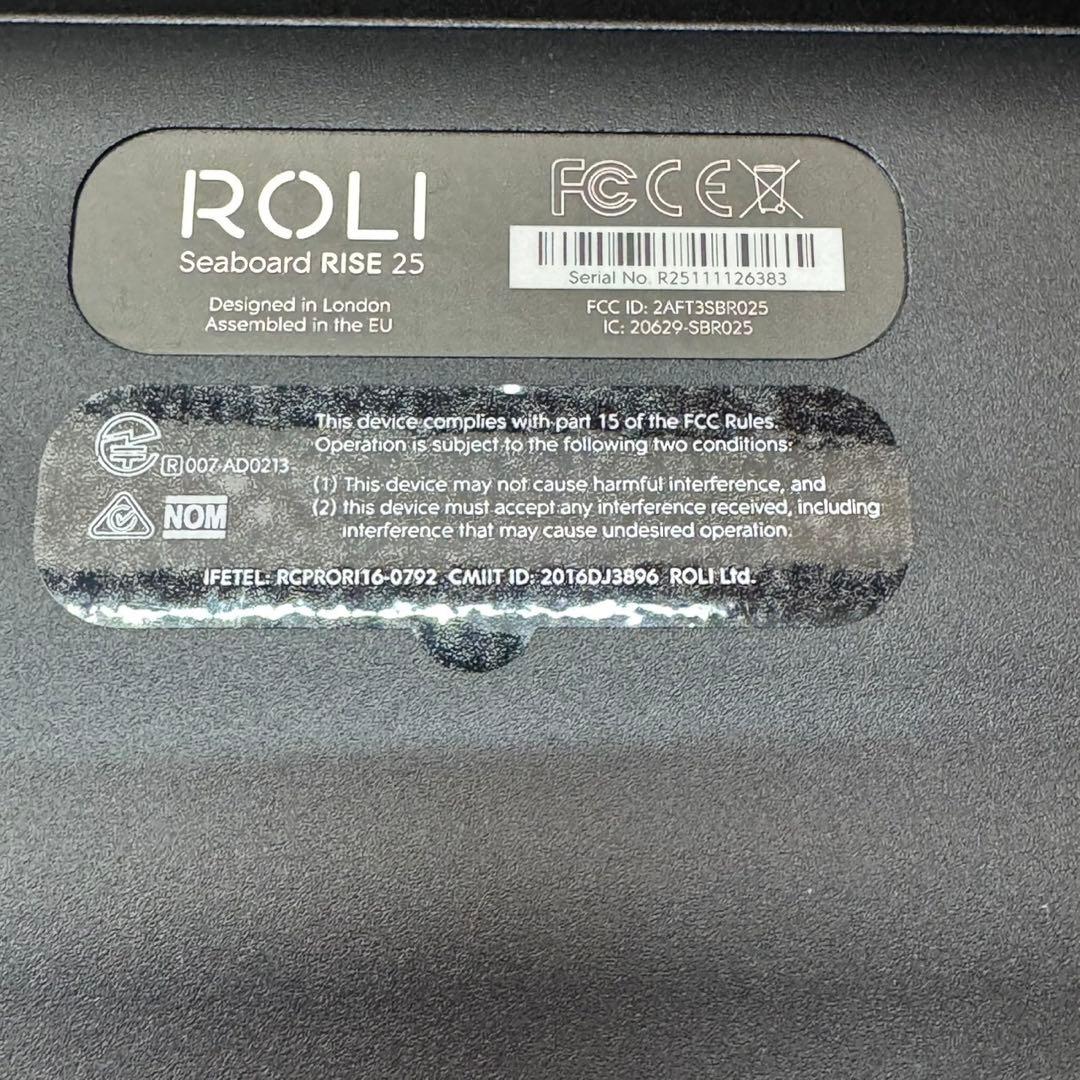 【極美品】ROLI Seaboard RISE 25&専用FilpCaseセット