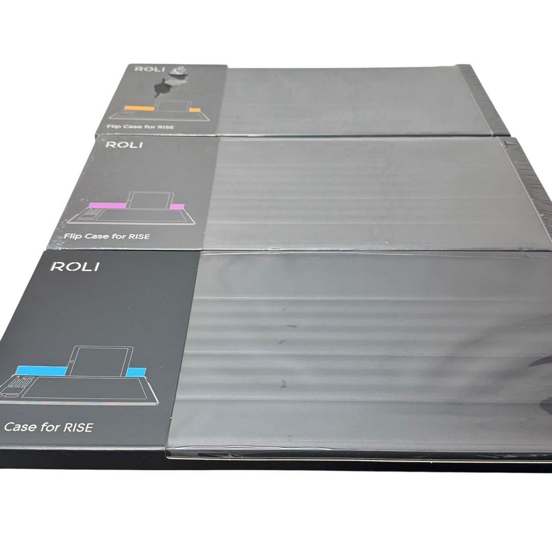 【極美品】ROLI Seaboard RISE 25&専用FilpCaseセット