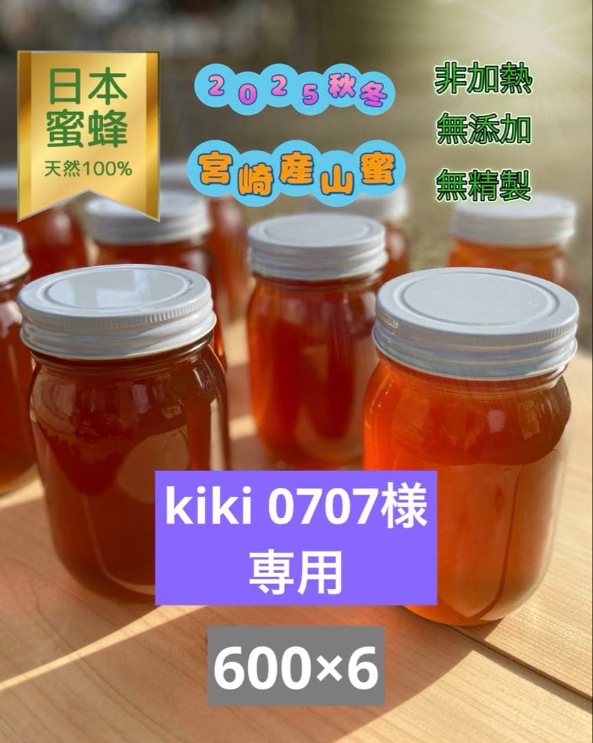 日本蜜蜂 純正ハチミツ 宮崎産山蜜　600g×6