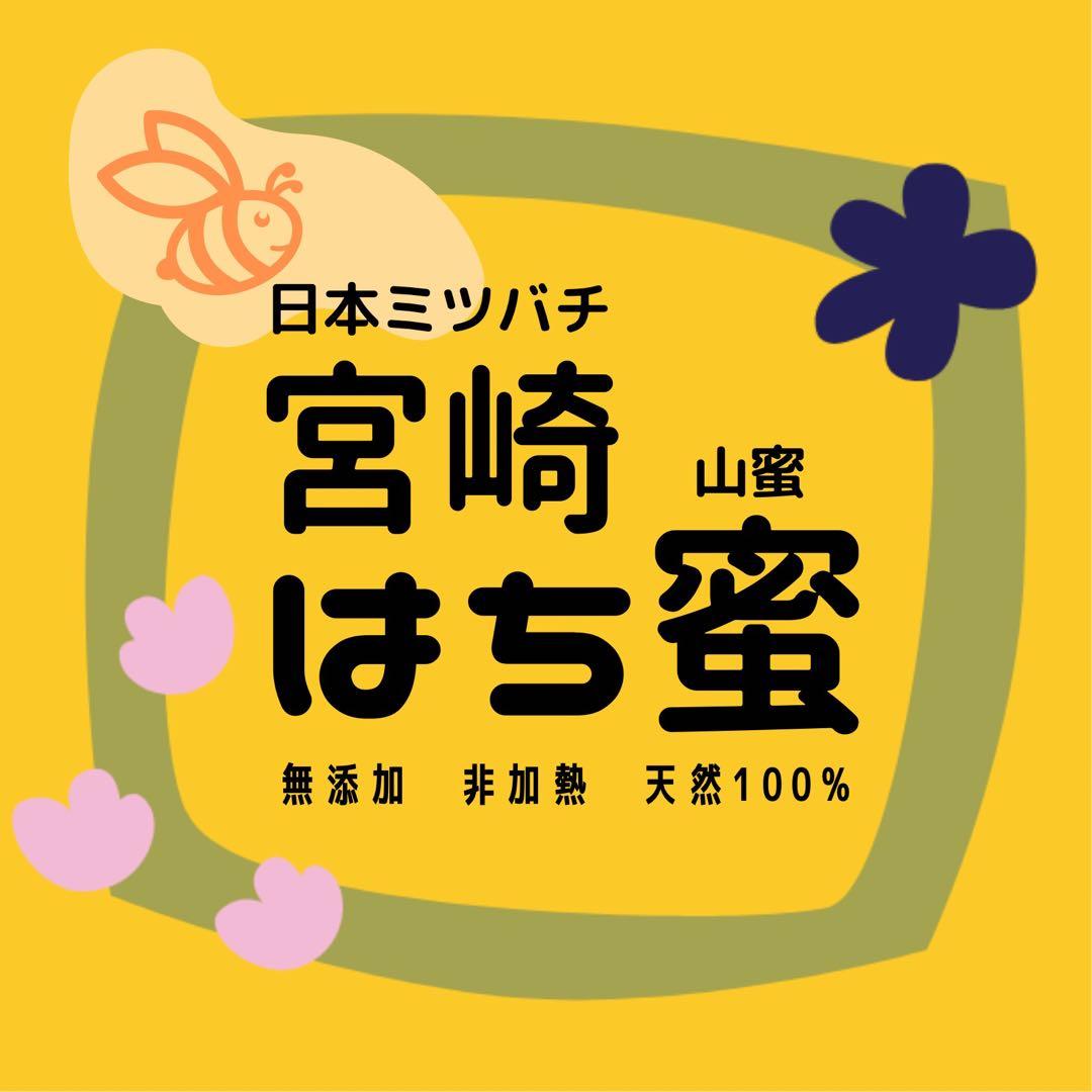 日本蜜蜂 純正ハチミツ 宮崎産山蜜　600g×6