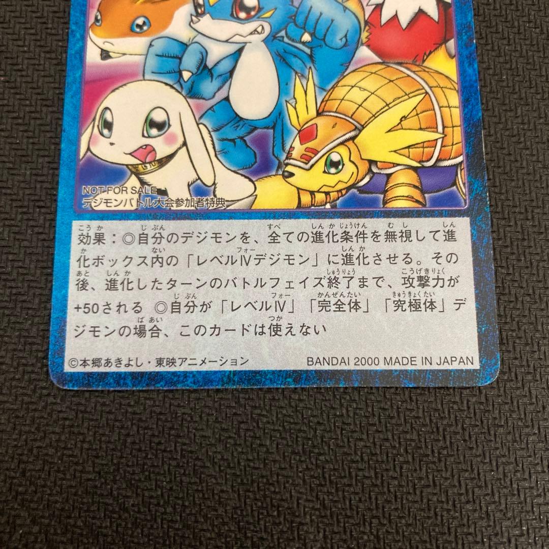旧デジモンカード Dg-3 未来への可能性　大会参加特典