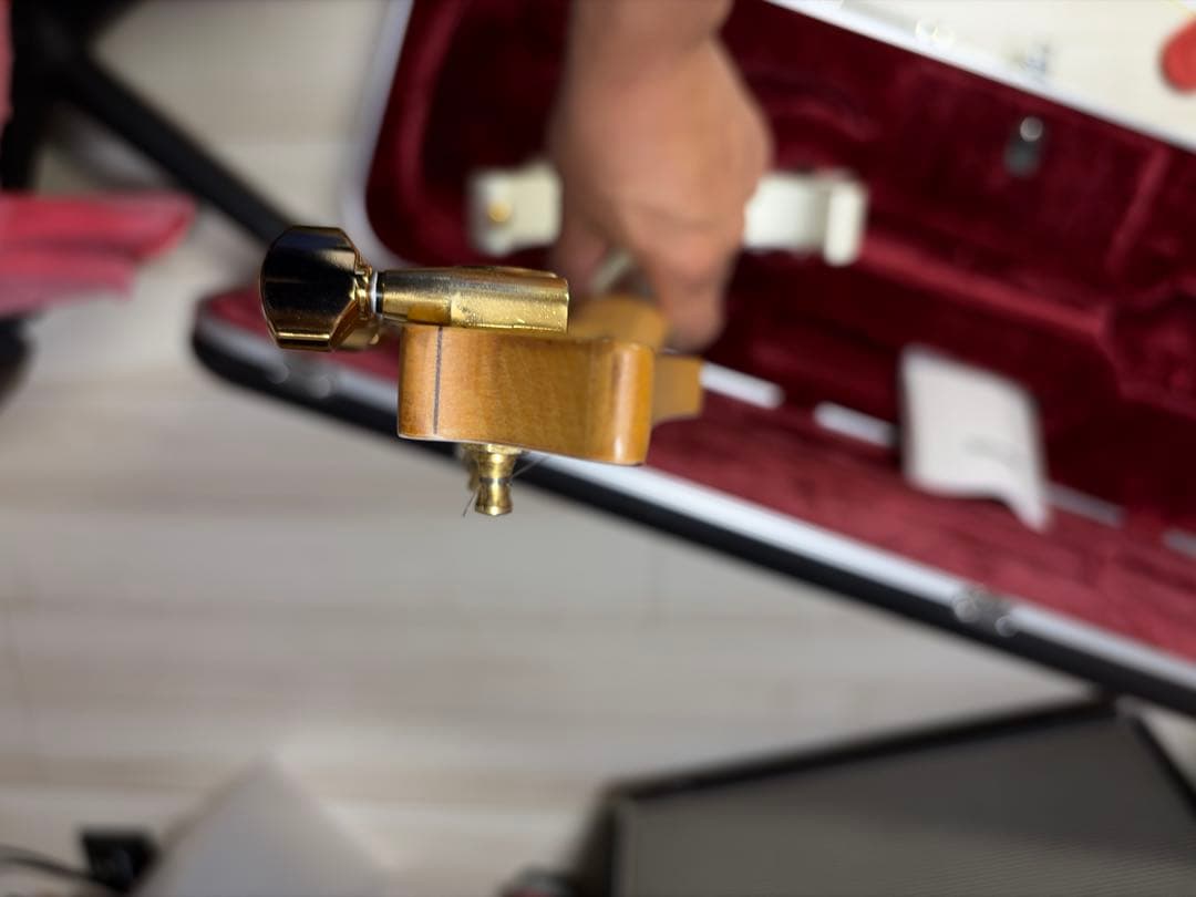 Ibanez JEM7V sustainer mod (Vai シグネチャー)