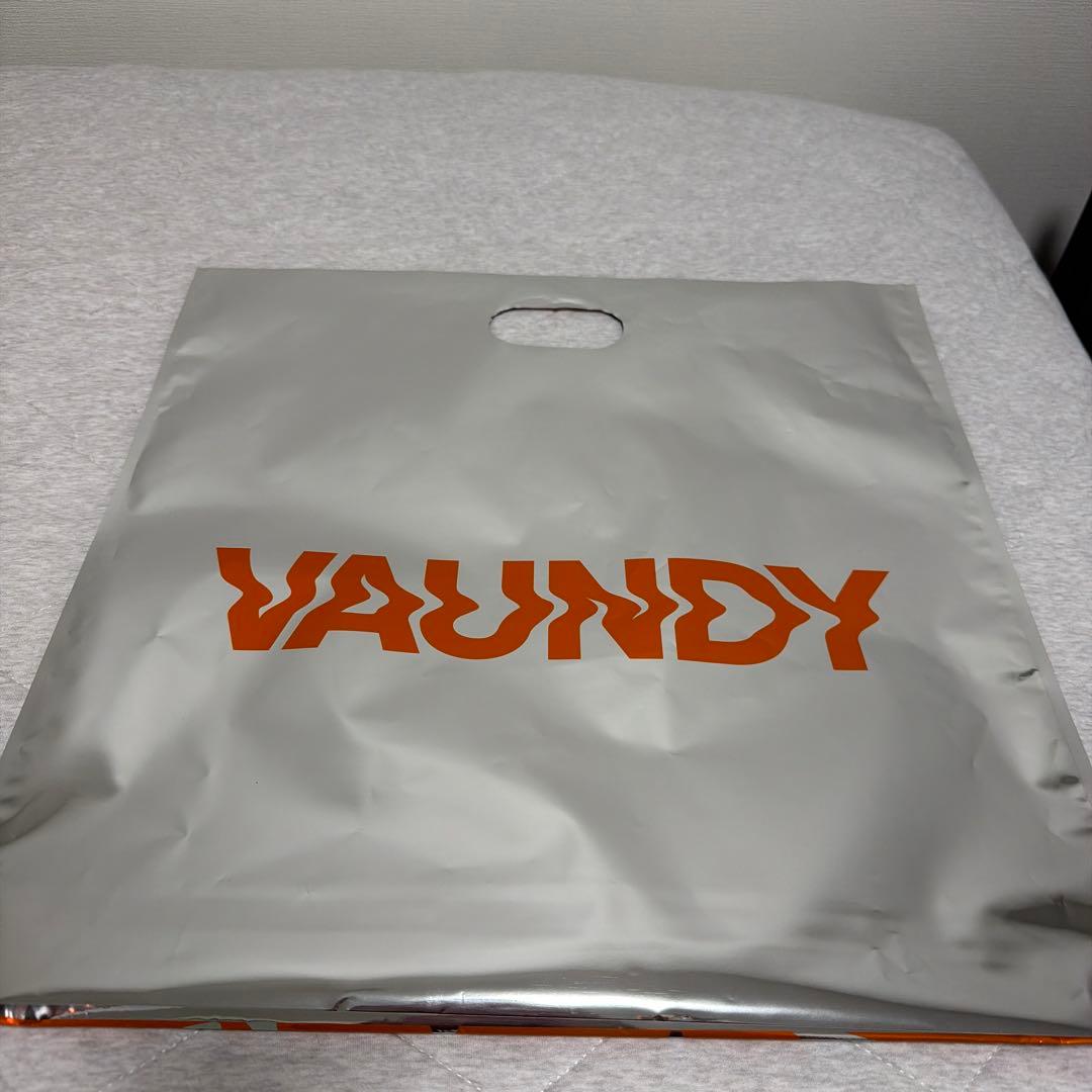 VAUNDY DOME TOUR 2026 ストラップ　他
