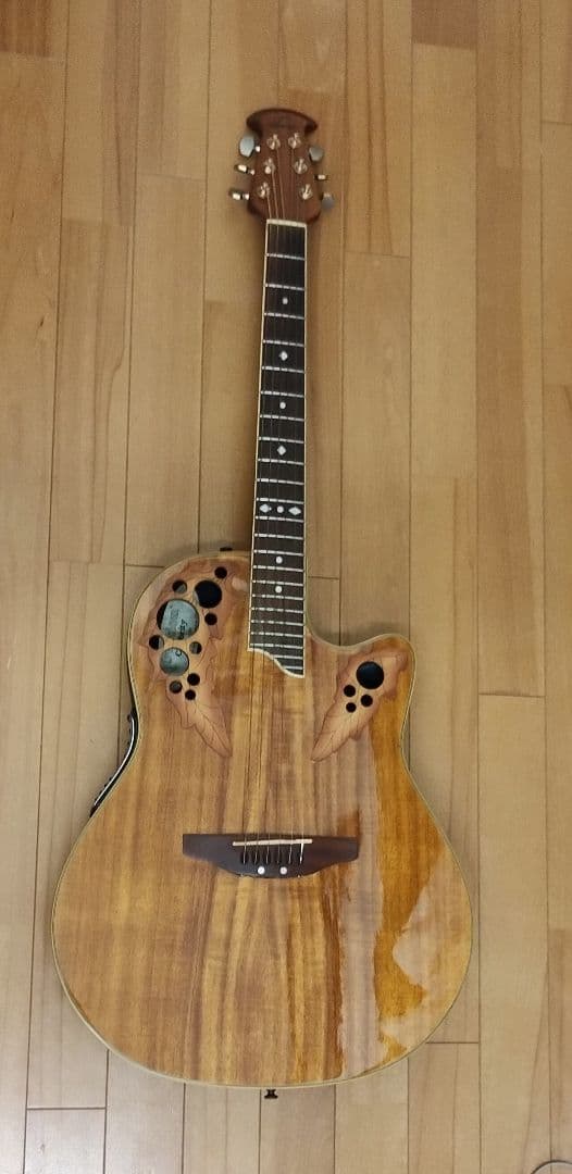 Y*a様 Ovation Celebrity CS288-4K ハードケース ス