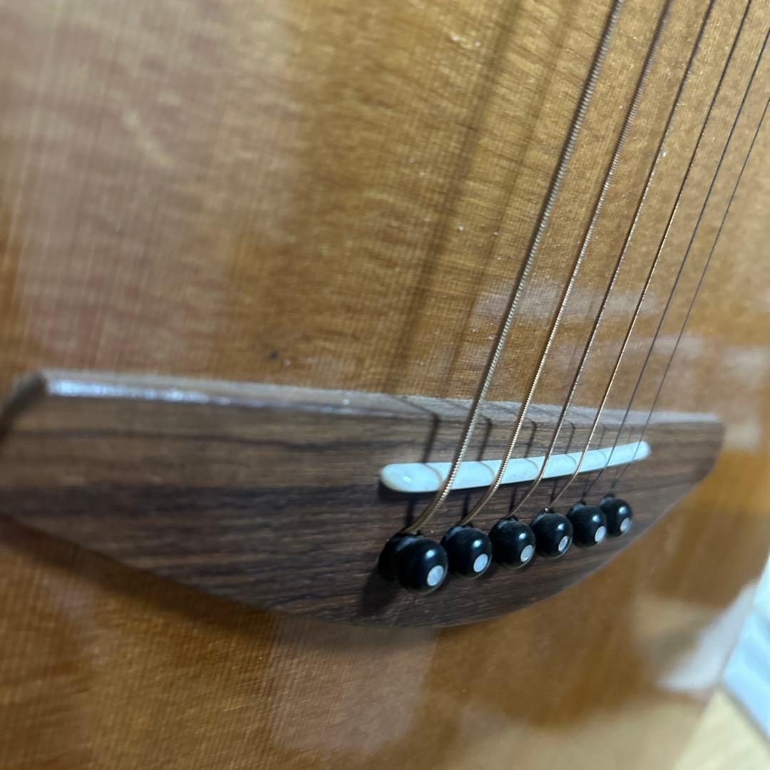 Baden D-Style Mahogany アコースティックギター