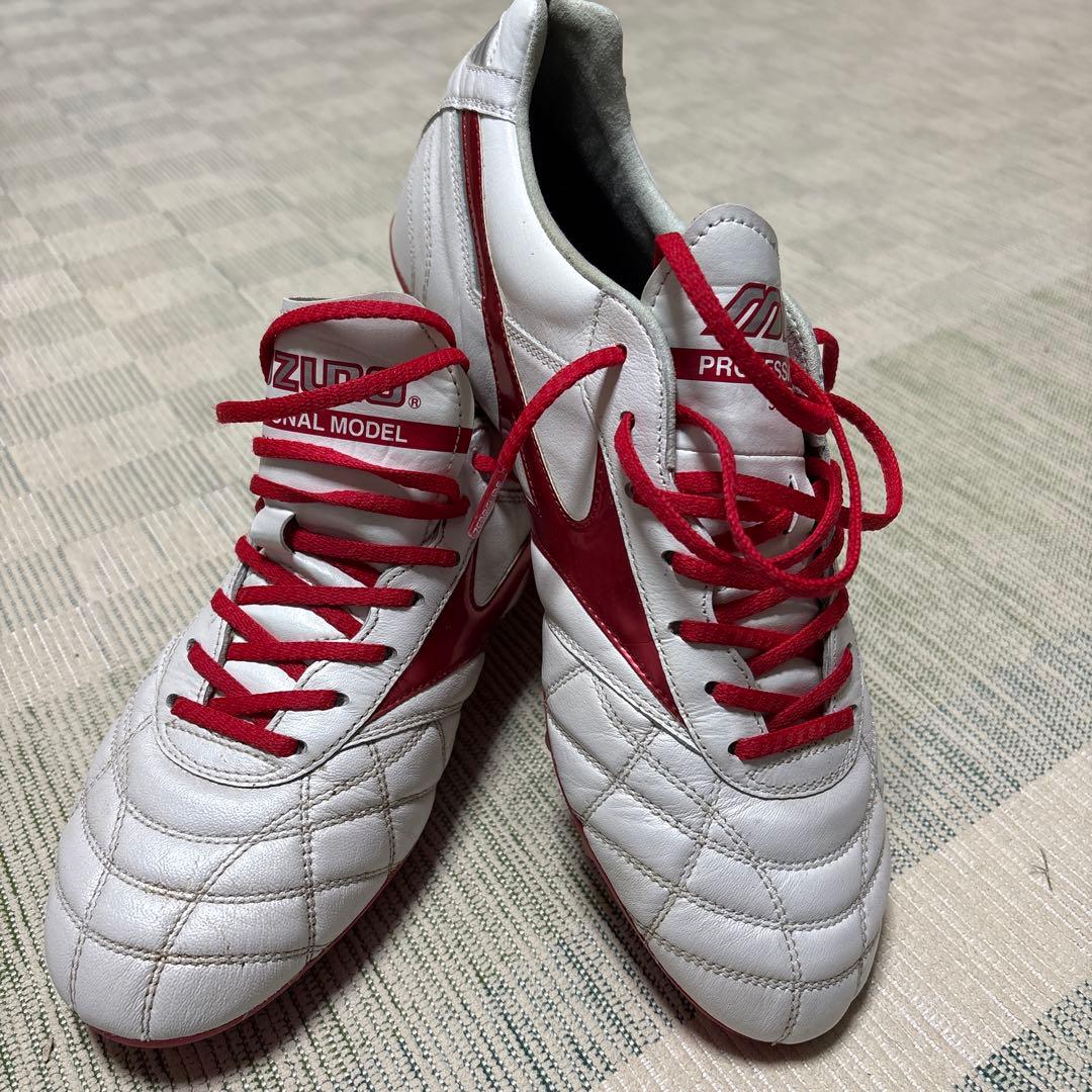 モレリアII JAPAN AG