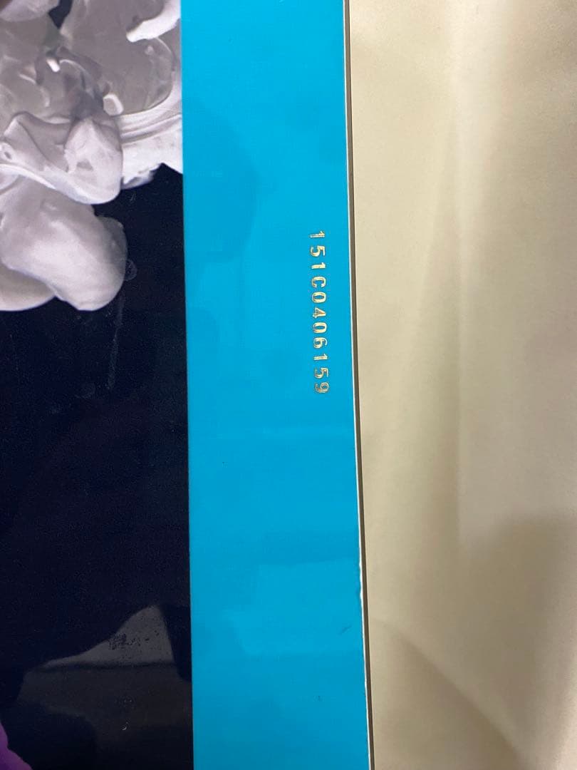 美品　HOLIDAY PARKLIFE　151cm 20-21 国産　おまけ付