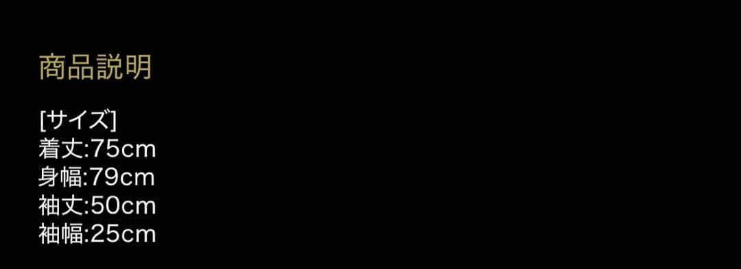 真天地開闢集団ジグザグ　パーカー　(クリーニング済)最終値下げです。