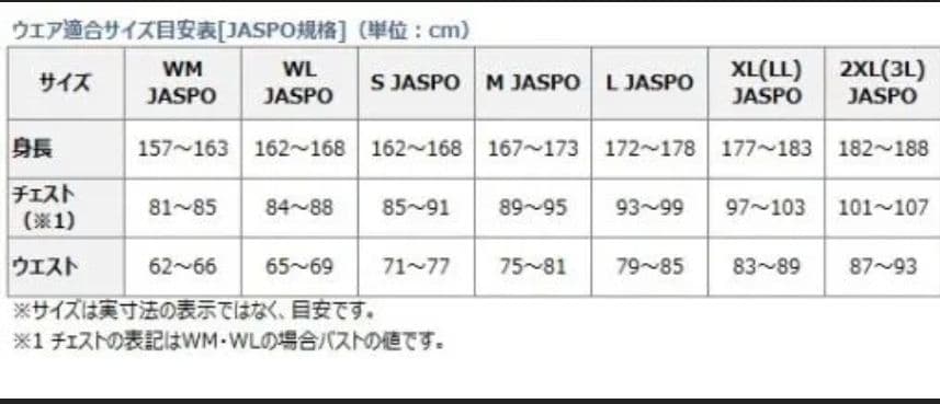 【つりびと】ダイワ ゴアテックス レインスーツ DR-1506