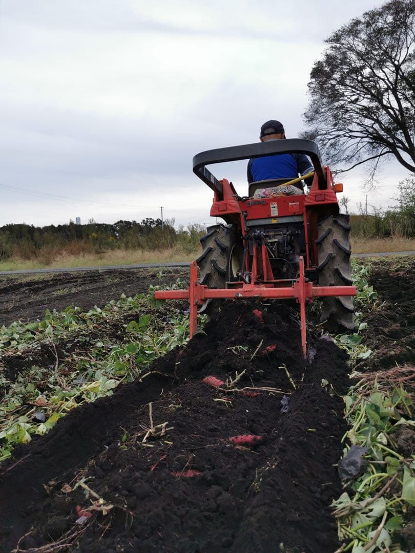 みっべーさま専用です⭐︎栗かぐやの焼き干し芋☆無選別3.5キロ♪