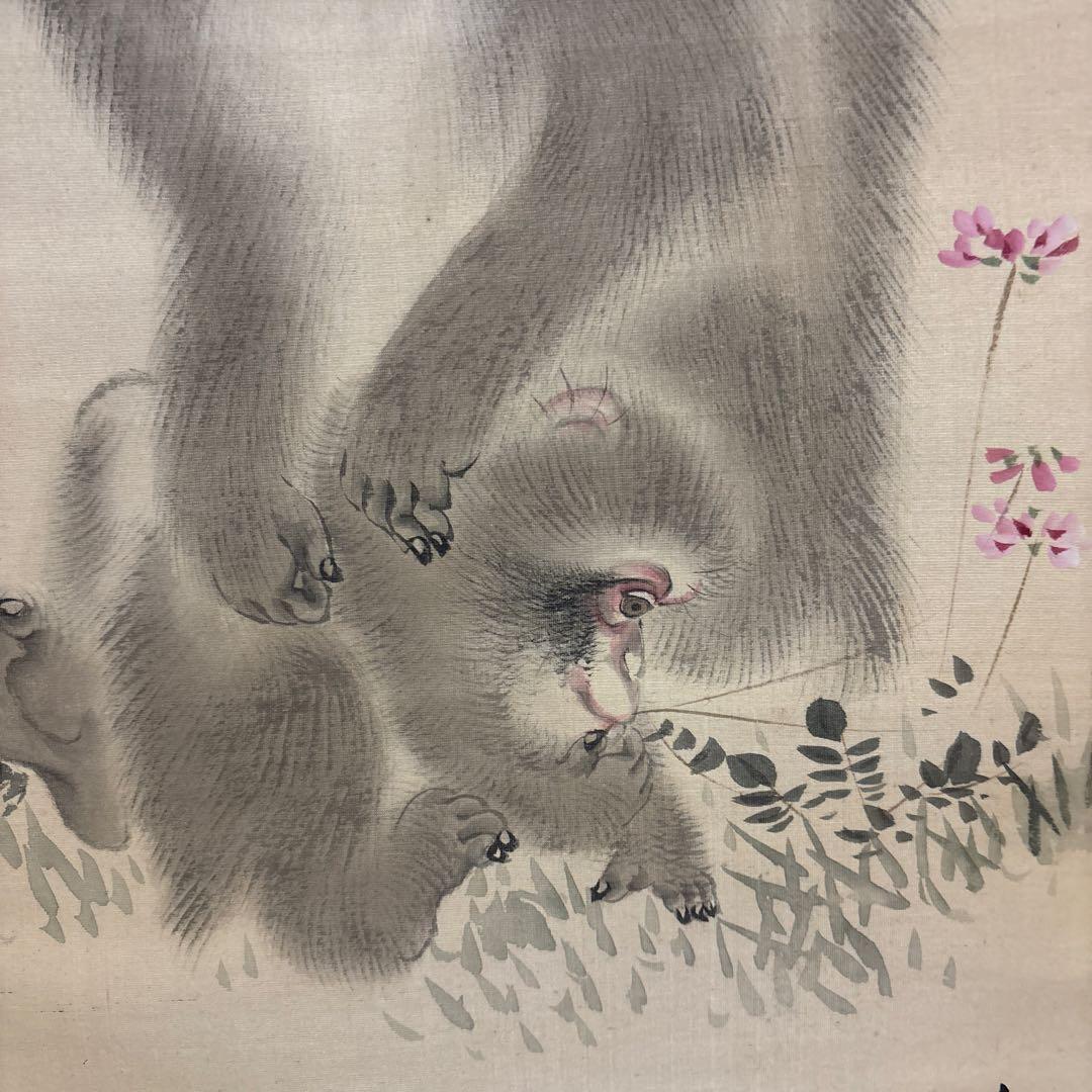江戸時代中後期【森祖仙(狙仙)】　絹本淡彩 桜に猿　古美術　a8