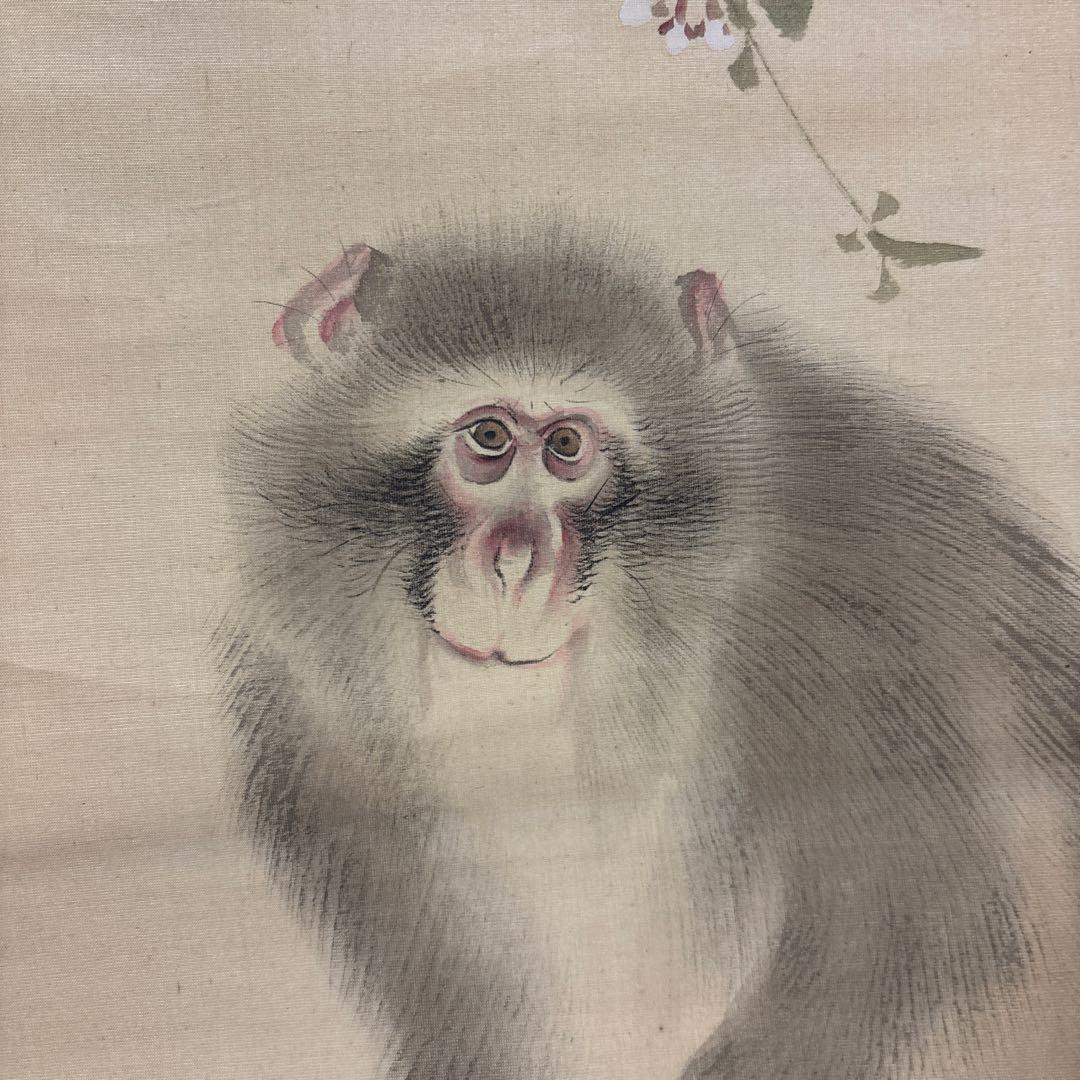 江戸時代中後期【森祖仙(狙仙)】　絹本淡彩 桜に猿　古美術　a8