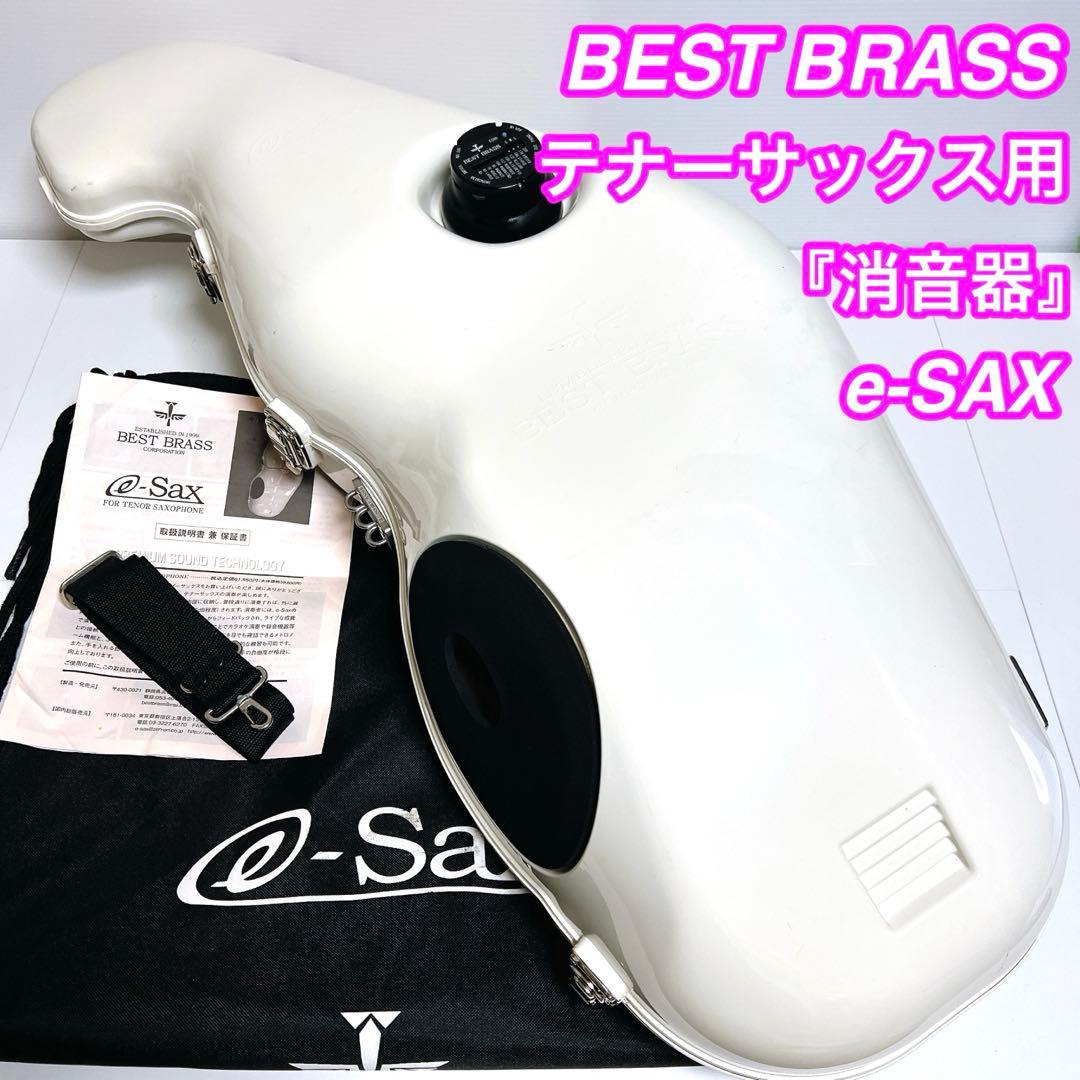 【良品】BEST BRASS e-SAX テナーサックス　ベストブラス　消音器