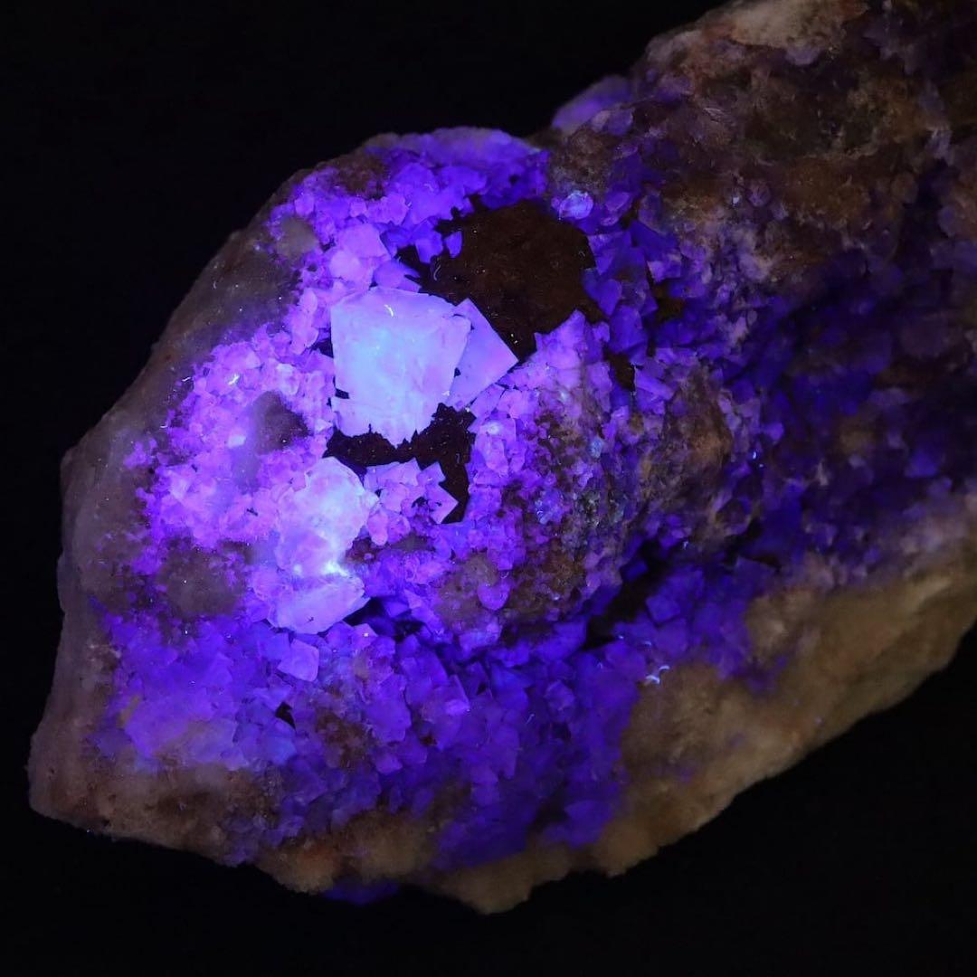 蛍石 ニューメキシコ産 フローライト 406.2g FL466 原石 鉱物天然石