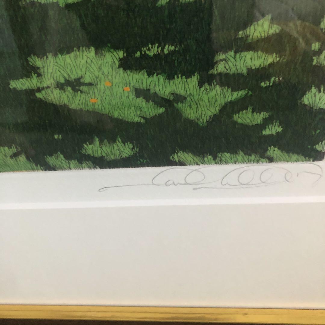 キャロルコレット　サマードリーム