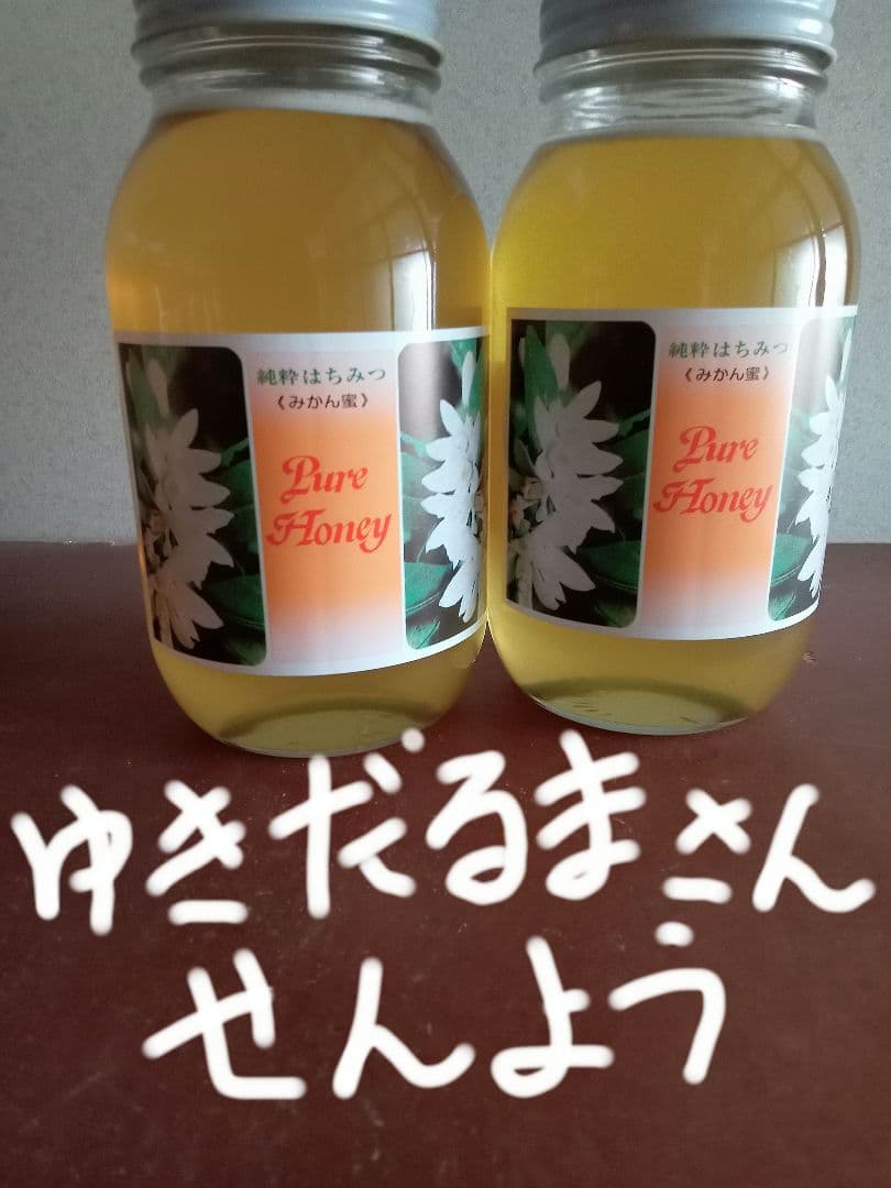 ゆきだるまさん専用国産みかん蜂蜜1200g×2