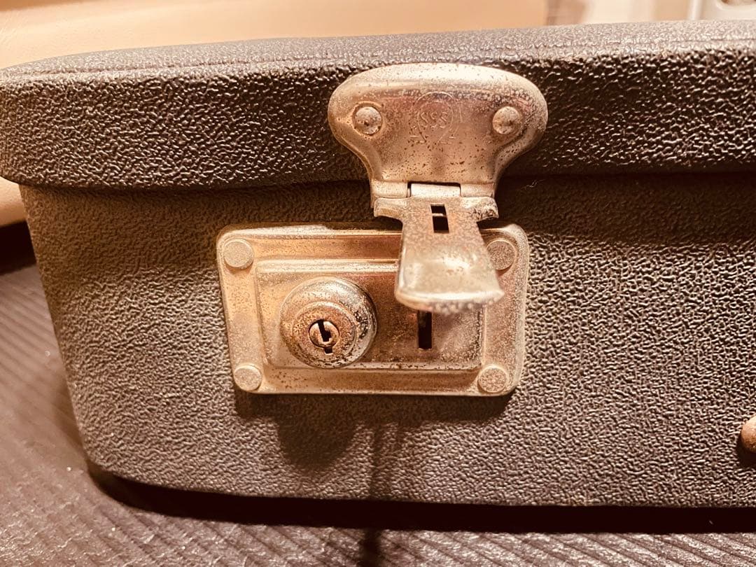 ピ*ン様 チャランゴ(ハードケース付き)