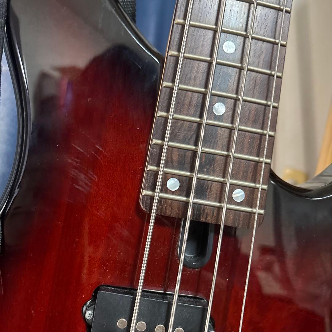 杉*平様 （ソフトケース、スタンド付き）YAMAHA TRBX174 OVSエレ