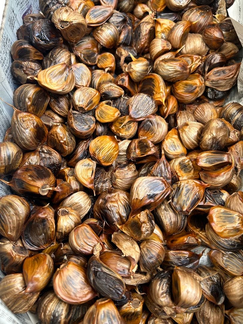 青森県産福地ホワイト黒にんにく3キロ送料無料