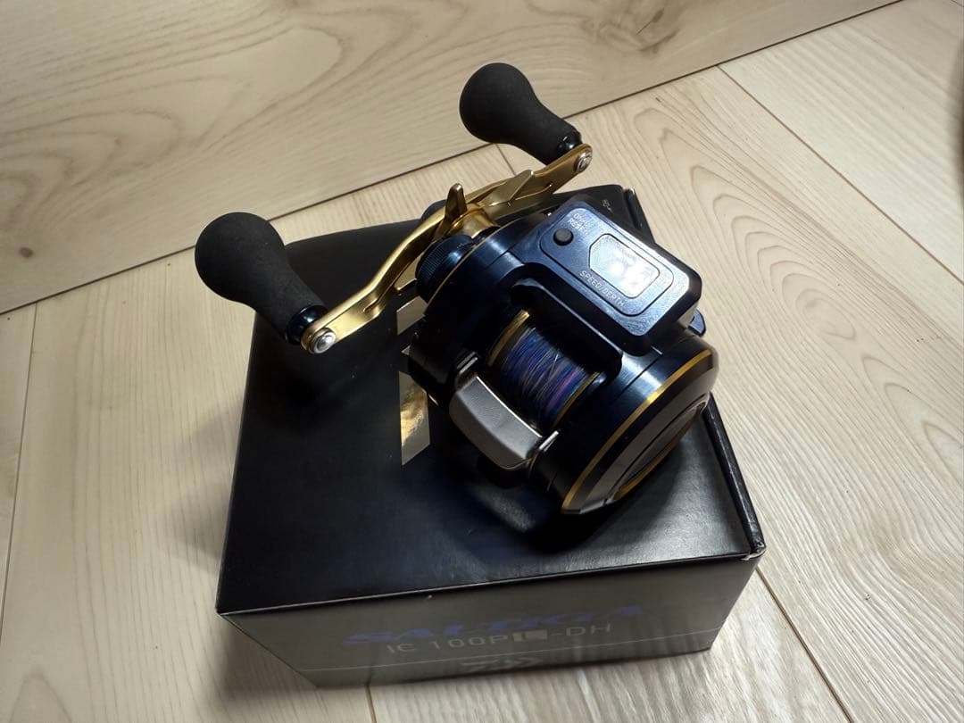 Daiwa SALTIGA IC 100P L-DH リール