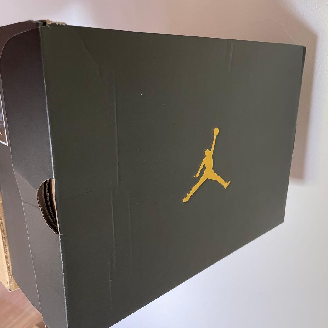 ジョーダン ADG 4 (28.5cm) スパイクレス