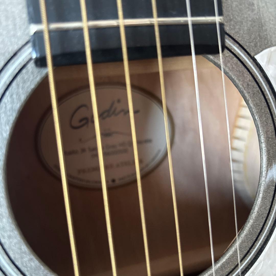 ギター GODIN GUITAR Rialto JR Satina Gray HG