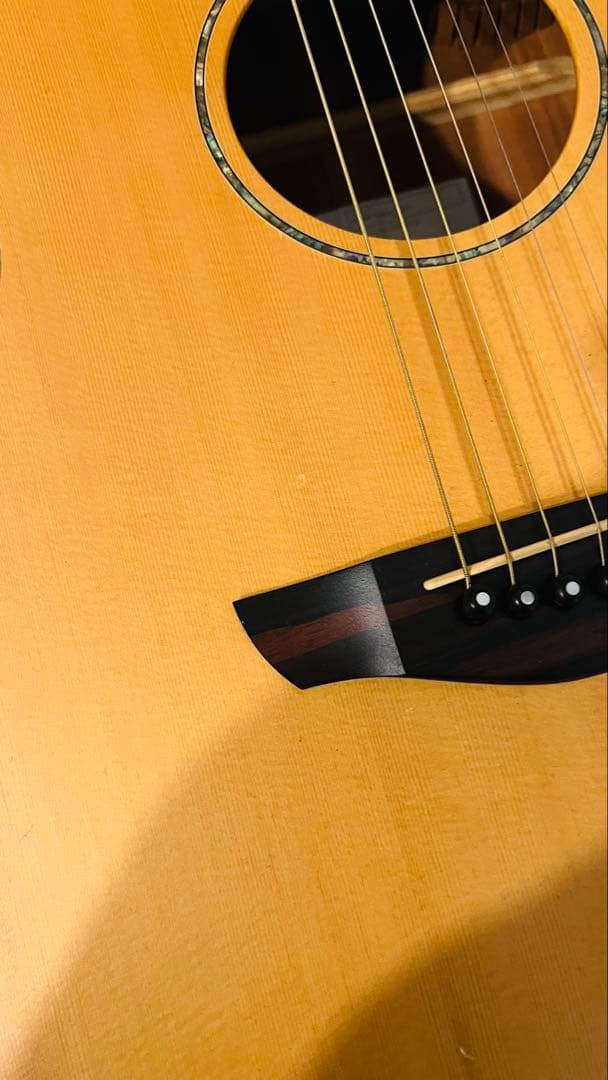 Faith エレアコ/FS3EB