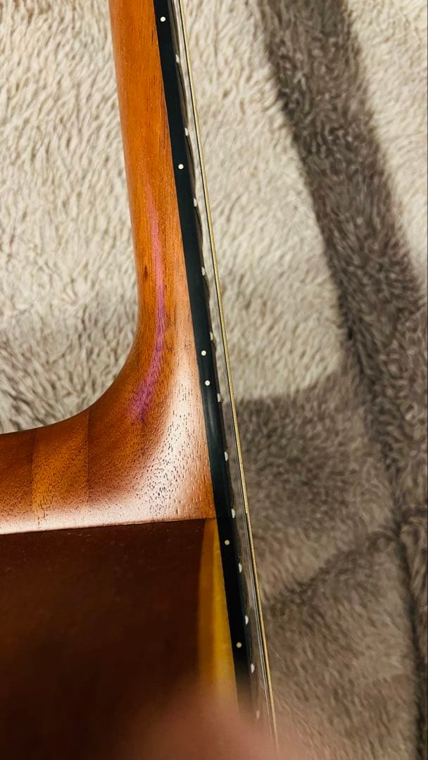 Faith エレアコ/FS3EB