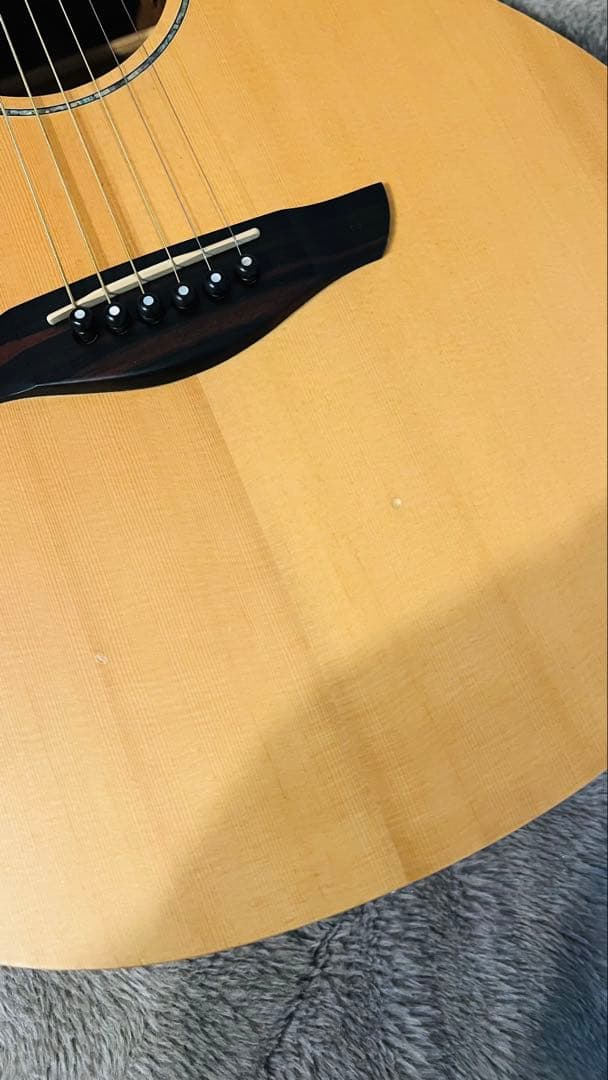 Faith エレアコ/FS3EB