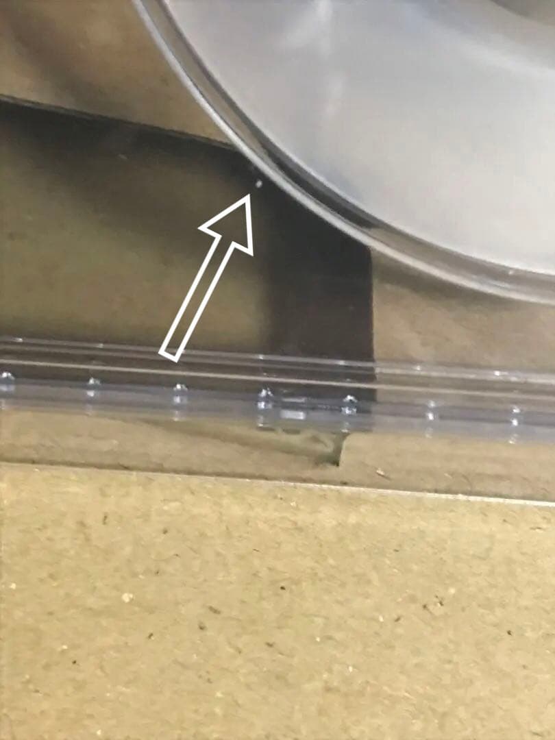 リーリエ CGC鑑定 CGC10 ポケモン  ポケカ メダル