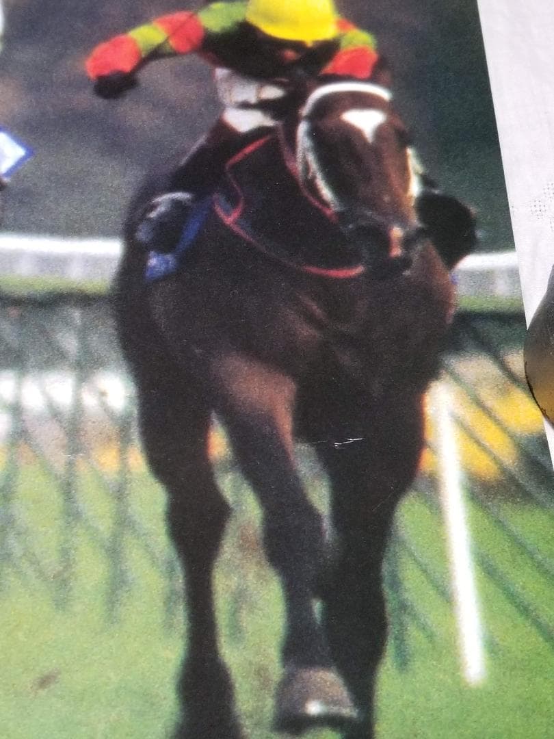 ◆ ナリタブライアン　武豊　JAPAN CUP　非売品　KEIBA　競馬ポスター