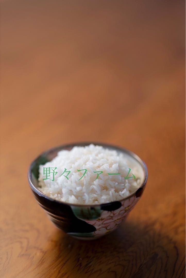 つや姫　20kg 令和7年　山形　特別栽培米