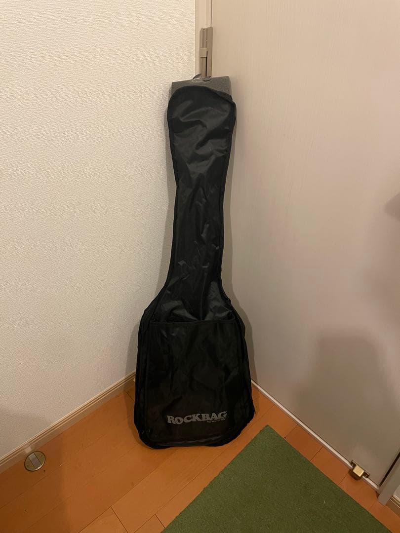 ギター Paul Reed Smith (PRS) SE STANDARD 24