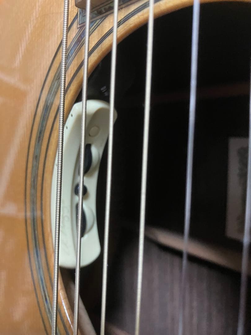 ASTURIAS/D. EMBLEM LRバッグスANTHEM搭載 フルリペア済