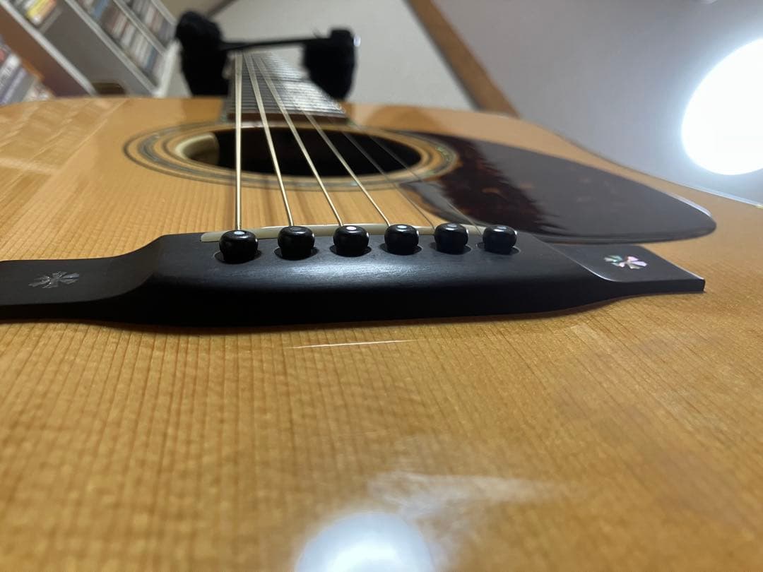 ASTURIAS/D. EMBLEM LRバッグスANTHEM搭載 フルリペア済