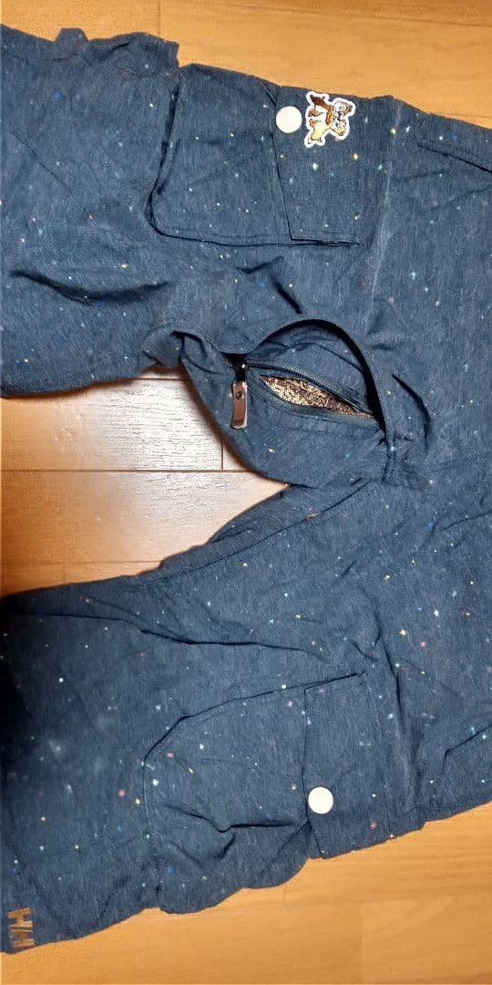 ヘリーハンセン　スキーウェア メンズ 　L パウダー　オフピステ