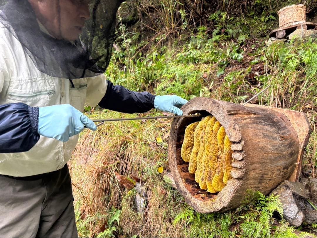 二ホンミツバチ　非加熱・残留農薬なし　天然生蜂蜜