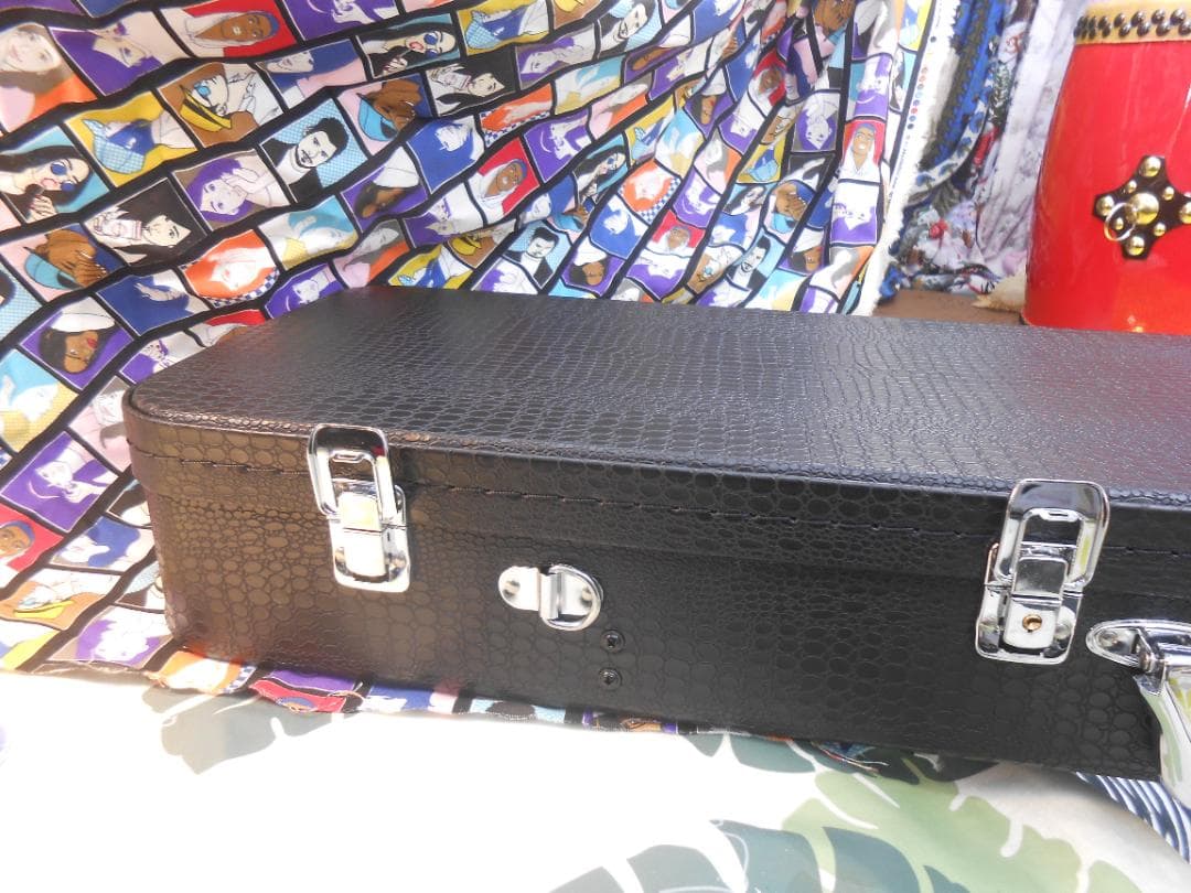 新品未使用(送料無料)11.980円　沖縄三線専用　一丁入ふかふかハードケース