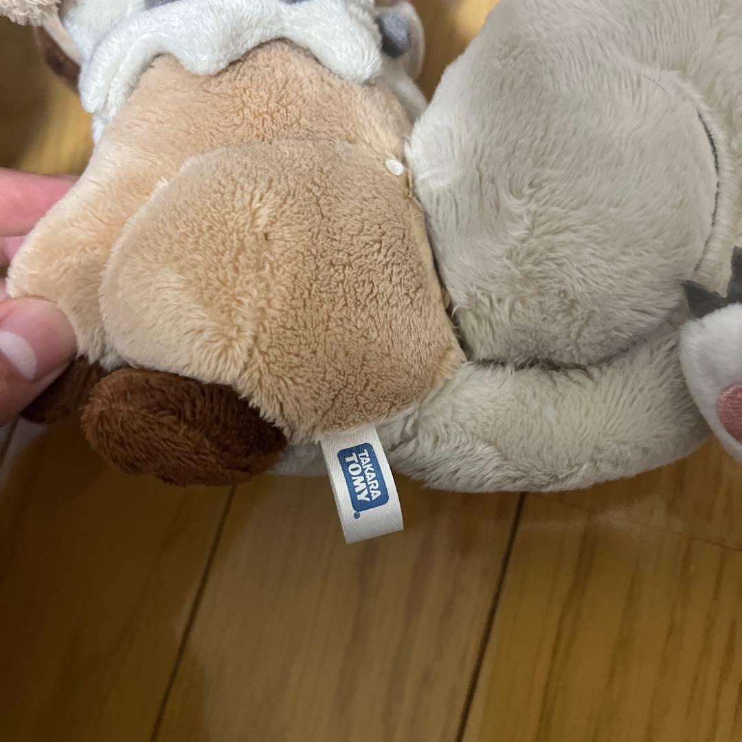 ポケモンセンター　タカラトミー ルガルガン イワンコ ぬいぐるみ セット