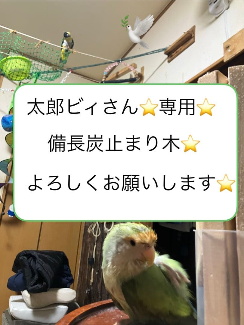 備長炭止まり木⭐️パーチ⭐️止まり木⭐️専用です(*゜∀゜*)