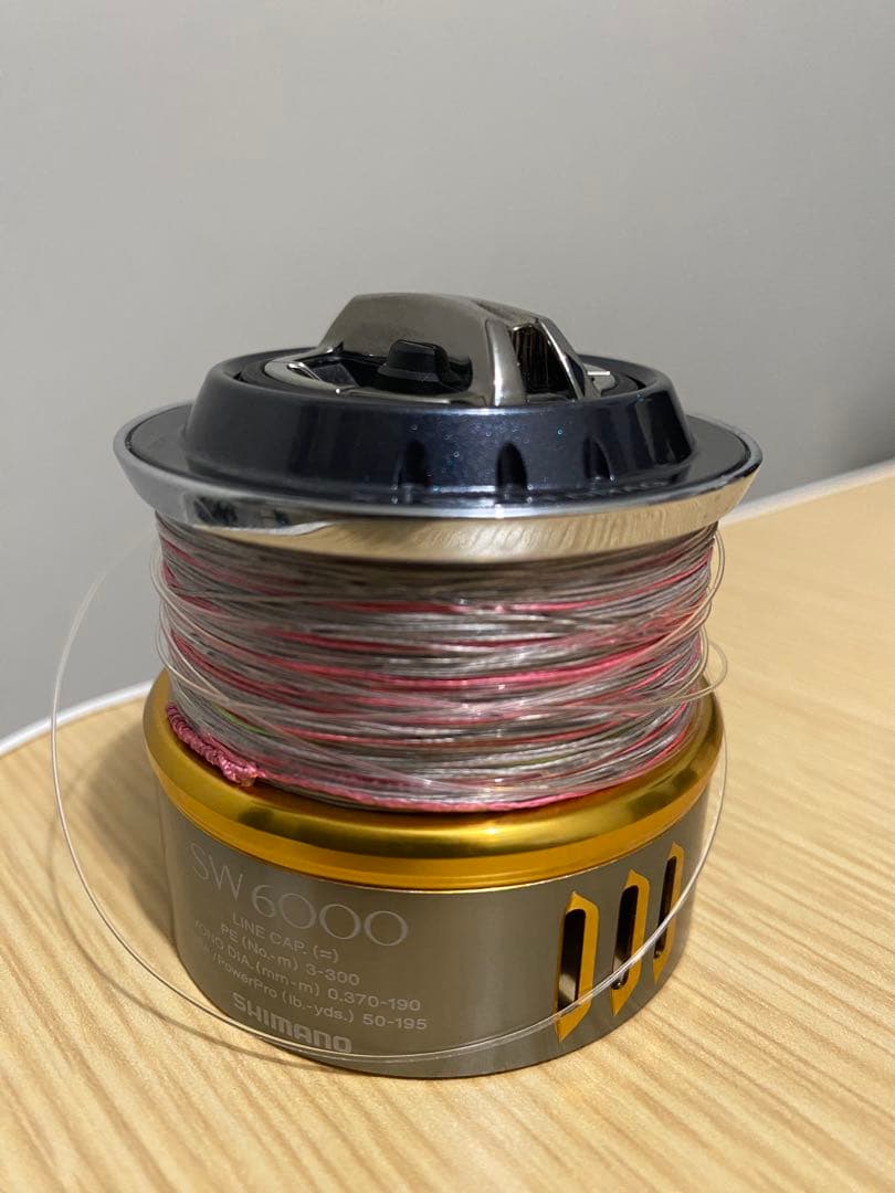 SHIMANO 15ツインパワーsw 6000xg